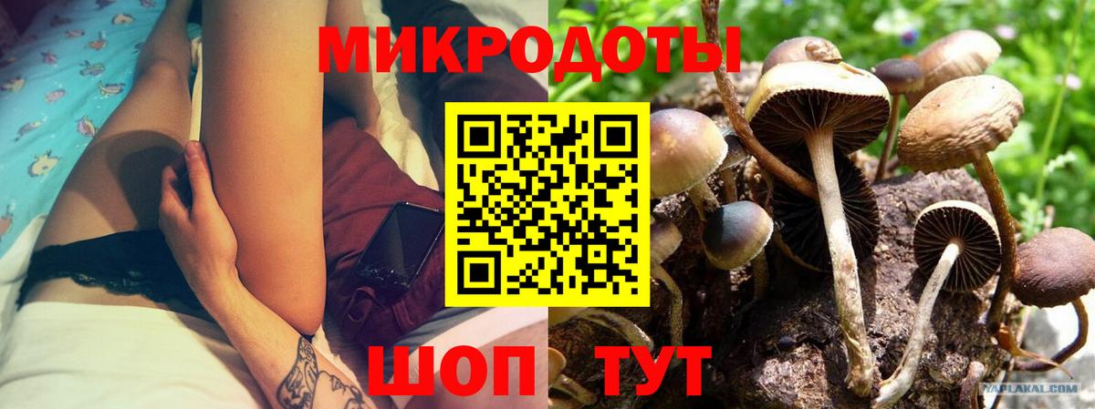 Истра  Псилоцибиновые грибы Cubensis  Вход с VPN 